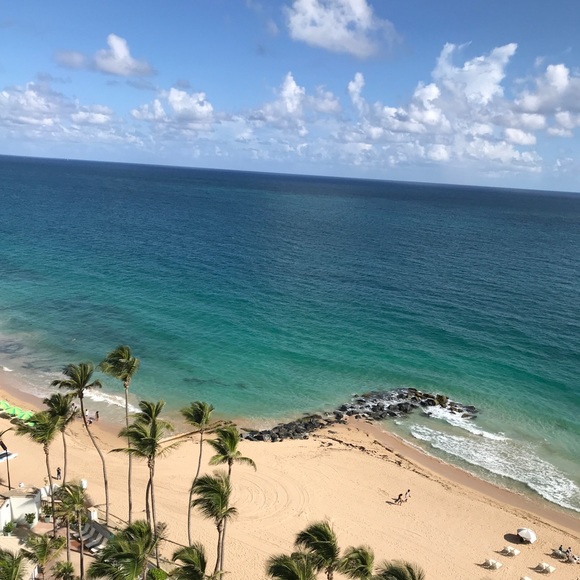 Meet your Posher, Toni - Picture 3 of 4